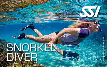 Presentation-Snorkel Diver